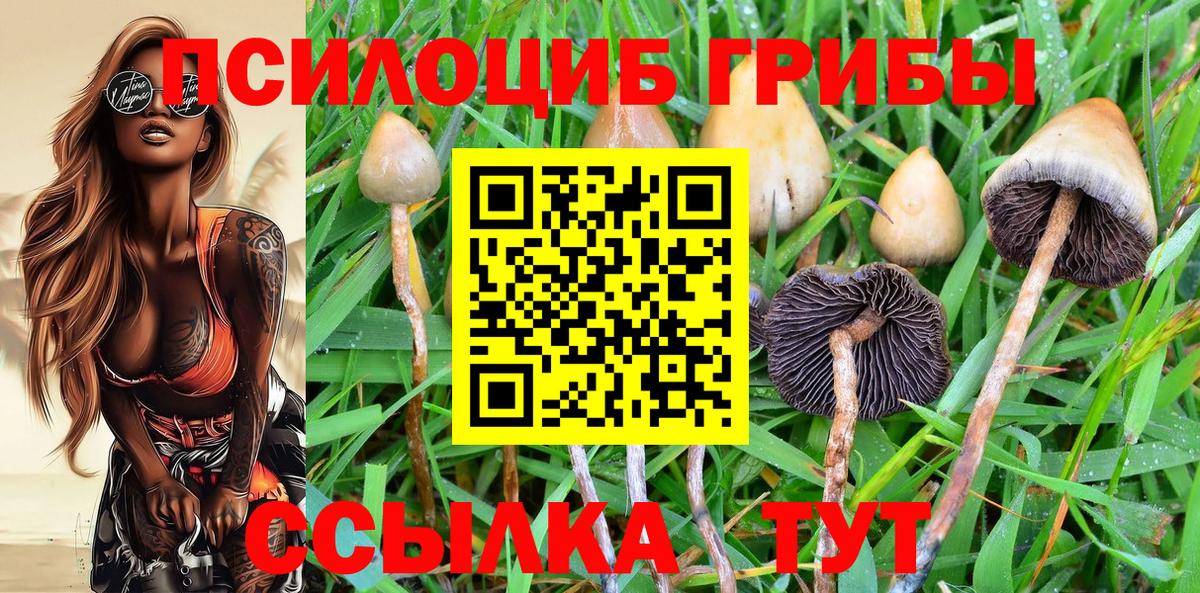 Псилоцибиновые грибы Psilocybe  Вход с VPN  Орёл 