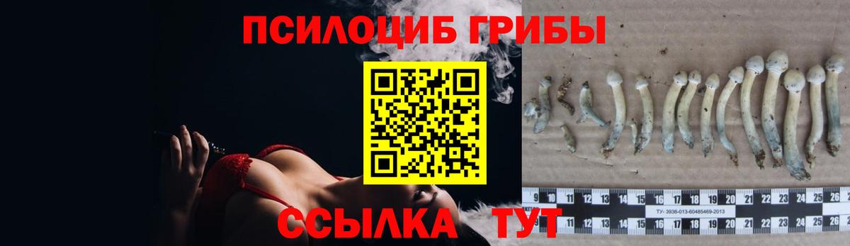 Галлюциногенные грибы Psilocybe Орёл